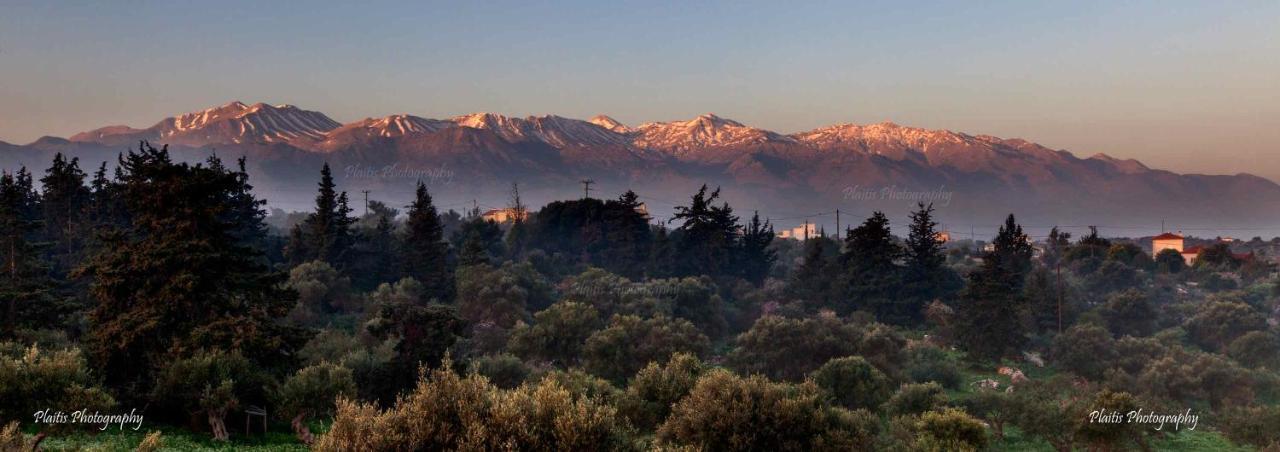 Livingfy Apt With Mountain View & Garden Vamos Bagian luar foto